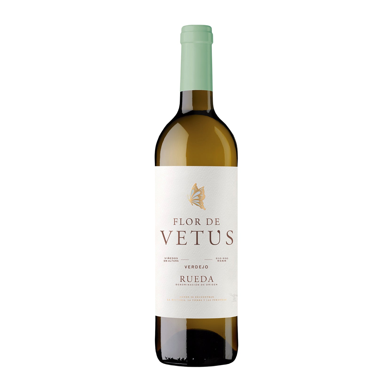Flor De Vetus Blanco